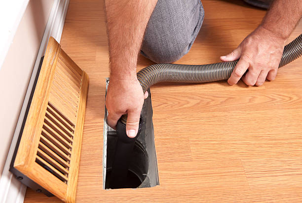 Best Home Air Vent Cleaning  in Mapleton, IA
