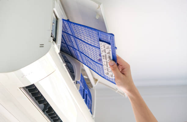 Best HVAC System Cleaning  in Mapleton, IA