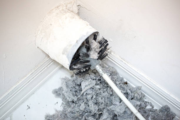 Best Air Duct Cleaning Near Me  in Mapleton, IA